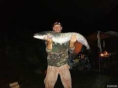 Kliknutím fotografii zvětšíte Sumec 102 cm