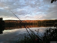 Kliknutím fotografii zvětšíte