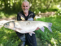 Kliknutím fotografii zvětšíte riečny bojovník