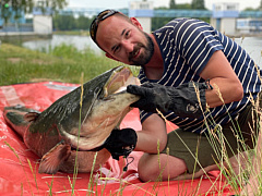 Kliknutím fotografii zvětšíte Sumec