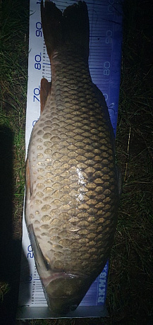 Kliknutím fotografii zvětšíte D15 100cm 21.81kg