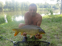 Kliknutím fotografii zvětšíte Labe kapr 73cm