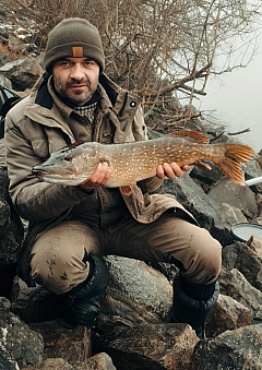 80cm z Lipna