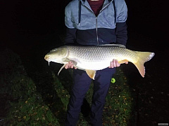 87cm,15.8kg