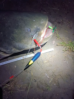 Sumec