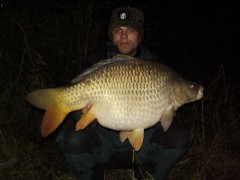 Kliknutím fotografii zvětšíte Můj šupi 11kg