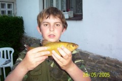 Kliknutím fotografii zvětšíte Lín obecný