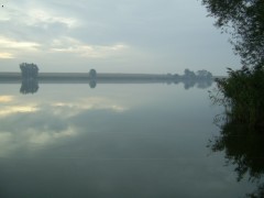 ��jnov� r�no II