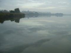 ��jnov� r�no III