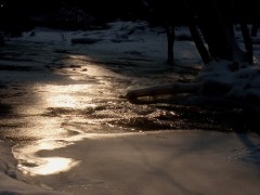 Kliknutím fotografii zvětšíte Loňská vzpomínka