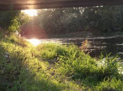 Kliknutím fotografii zvětšíte
