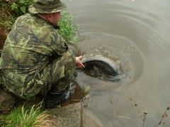 Kliknutím fotografii zvětšíte běž domů