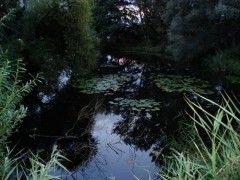 Kliknutím fotografii zvětšíte Trdliště