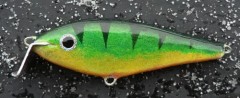 perch3