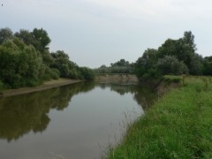 Latorica 1