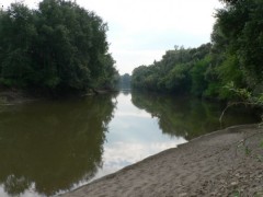 Latorica 3