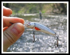 Kliknutím fotografii zvětšíte Můj oblíbený wobler ...