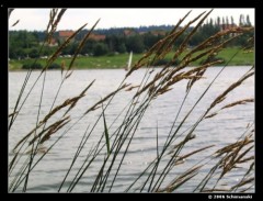 Kliknutím fotografii zvětšíte Léto na přehradě