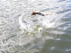 Skok 2