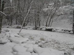 Kliknutím fotografii zvětšíte Ledy