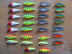 shad rap 6 cm 