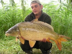 Adacs, 2005, Rolo, Dyn.Baits: Monster Krab