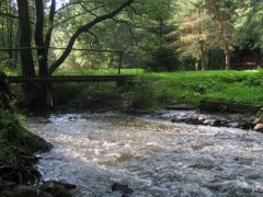 Kliknutím fotografii zvětšíte Padrťský potok