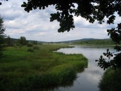 Kliknutím fotografii zvětšíte Padrťák 2