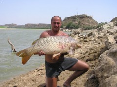 Kliknutím fotografii zvětšíte Kapr Ebro