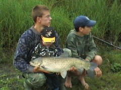 Amur