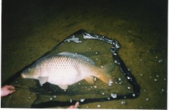Kliknutím fotografii zvětšíte Dalas 9Kg