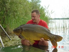 Kapr 22kg Mrtv� kor��