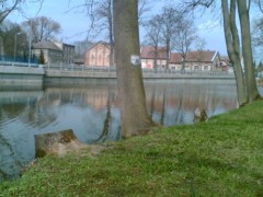 Kliknutím fotografii zvětšíte