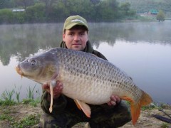 Kliknutím fotografii zvětšíte Kapr 92cm,14kg