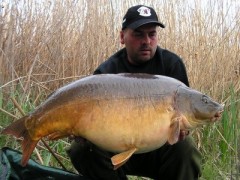 Palotáš 2006, Marcel, K. Nash