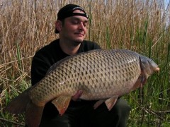 Palotáš 2006, Rolo, K. Nash