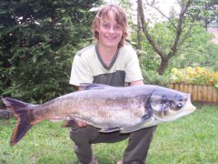 Kliknutím fotografii zvětšíte Tolstolobik na boilies?!
