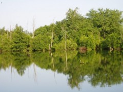 Kliknutím fotografii zvětšíte Pískovna 2