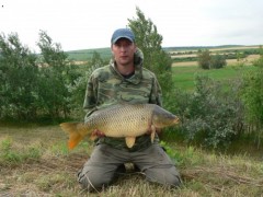 Kliknutím fotografii zvětšíte kapr-80-11kg