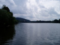 rybník-Labuť5