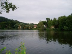 rybník-Labuť4
