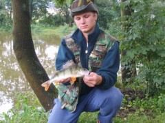 Kliknutím fotografii zvětšíte okoun říční 32cm