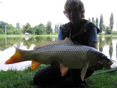 Kapr 71cm, 7,5Kg 