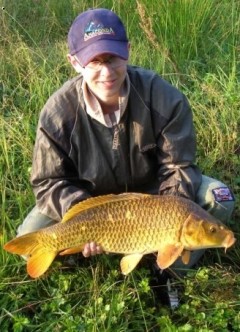 Goldfish