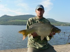 Kliknutím fotografii zvětšíte D5-Kapr 73-7kg