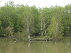 Kliknutím fotografii zvětšíte Skalička 5.5.06_2
