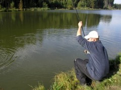 Kliknutím fotografii zvětšíte Polička2004