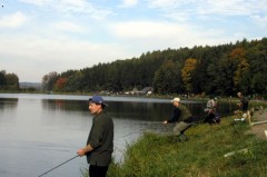 Kliknutím fotografii zvětšíte Polička2004