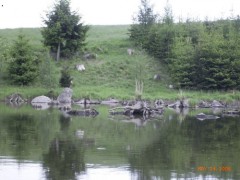Kliknutím fotografii zvětšíte Krásná příroda