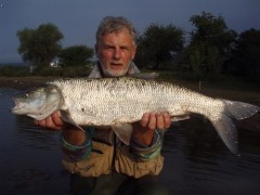 Kliknutím fotografii zvětšíte bolen